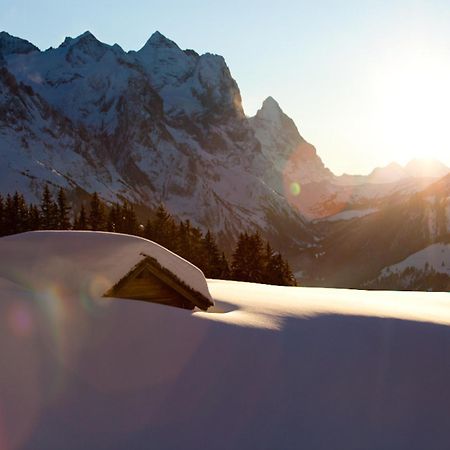 Victoria - Alpine Boutique Hotel & Fine Dining Meiringen Dış mekan fotoğraf