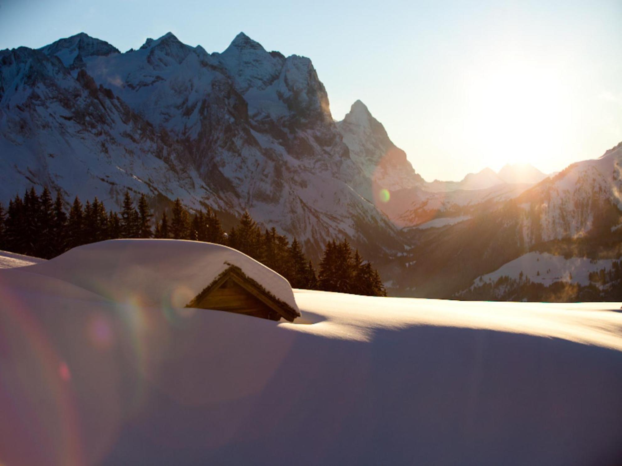 Victoria - Alpine Boutique Hotel & Fine Dining Meiringen Dış mekan fotoğraf