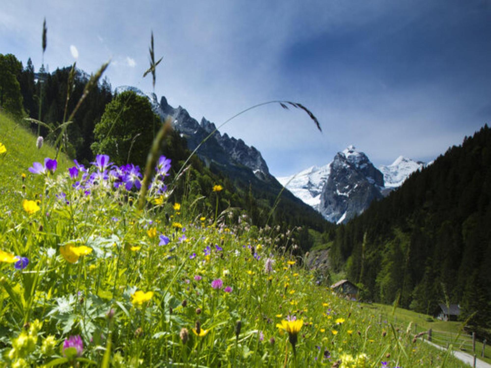 Victoria - Alpine Boutique Hotel & Fine Dining Meiringen Dış mekan fotoğraf